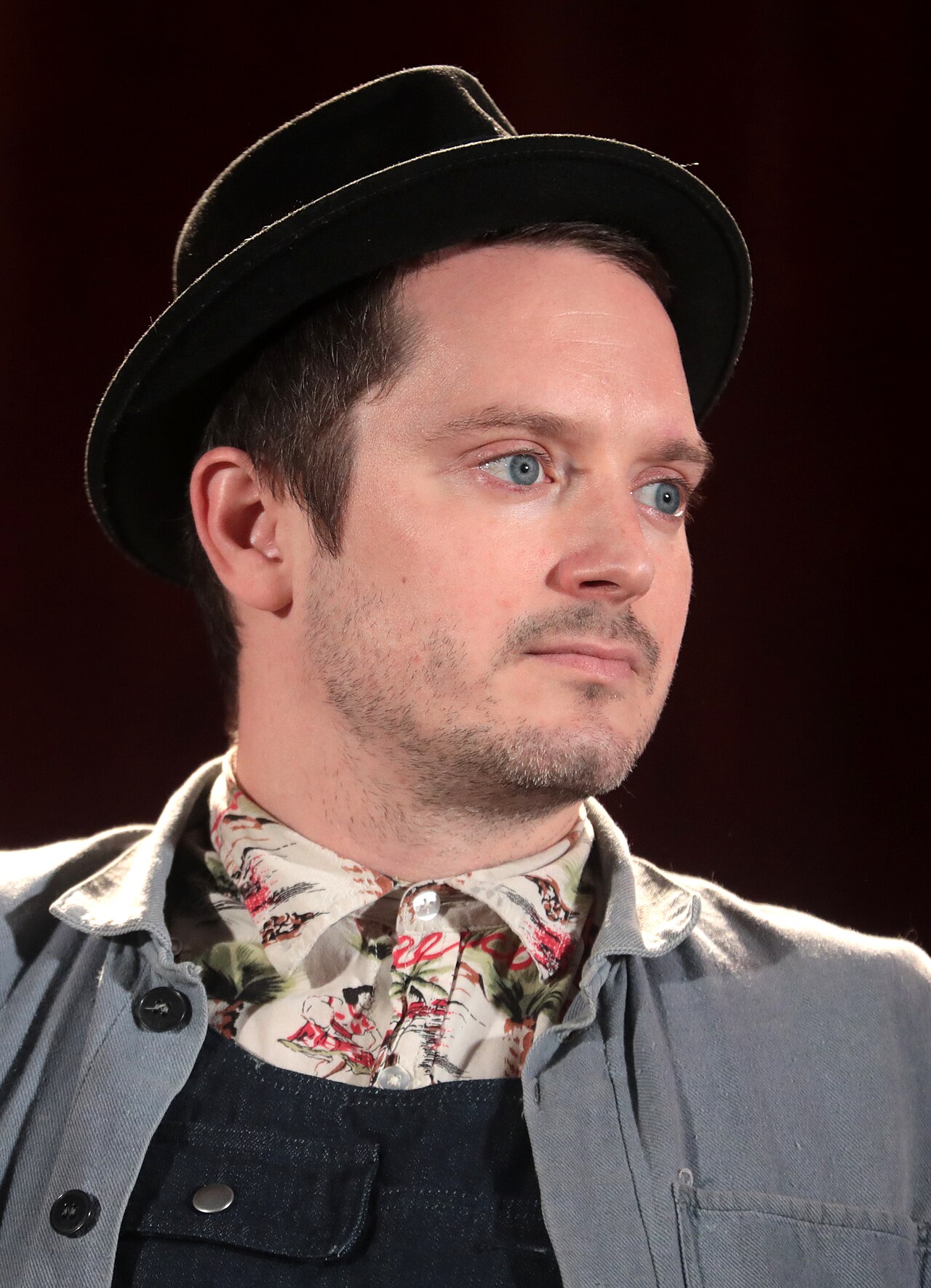 Elijah Wood, Disc Jockey of the Rings